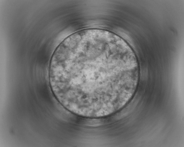 X0000113001338200909101748