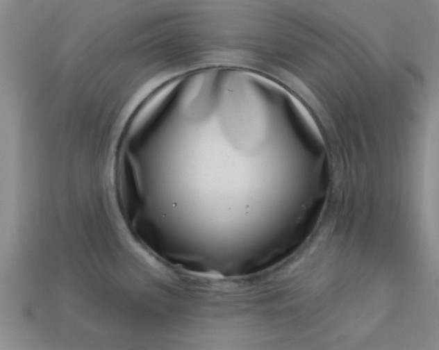 X0000113001339200909101748