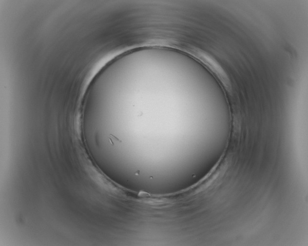 X0000113001340200909101748