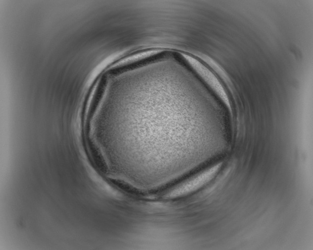 X0000113001341200909101748