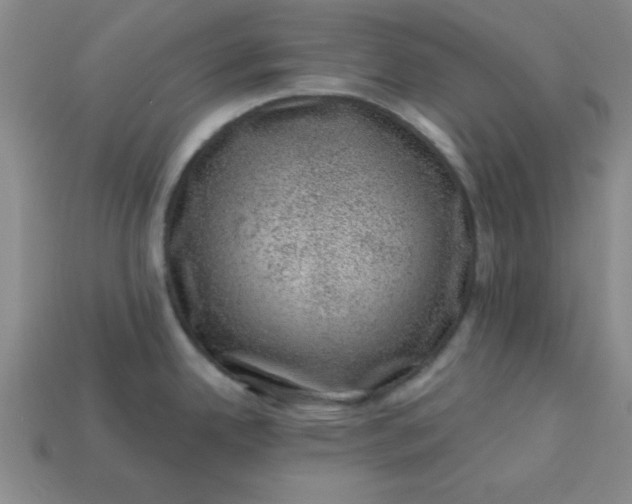 X0000113001342200909101748