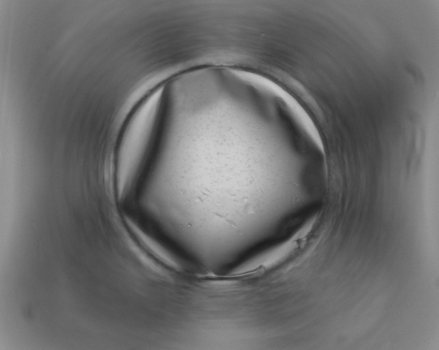 X0000113001343200909101748