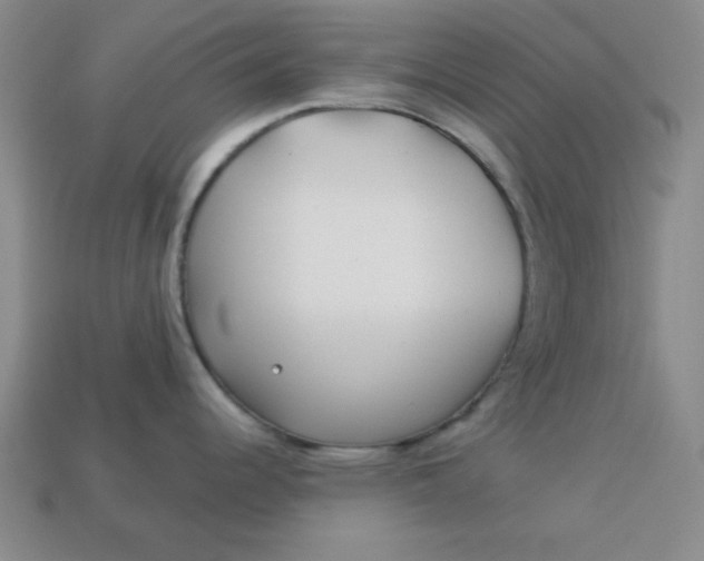 X0000113001344200909101748