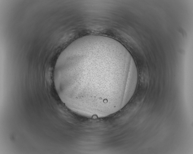 X0000113001346200909101747