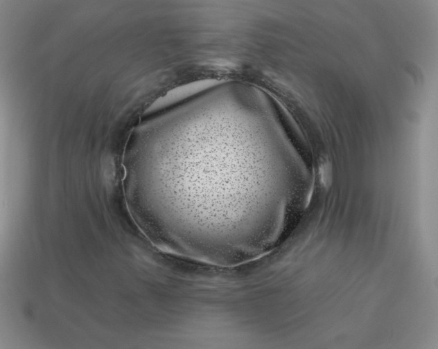 X0000113001347200909101747