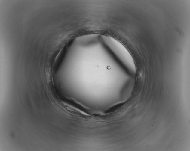 X0000113001348200909101747