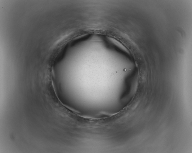 X0000113001350200909101747