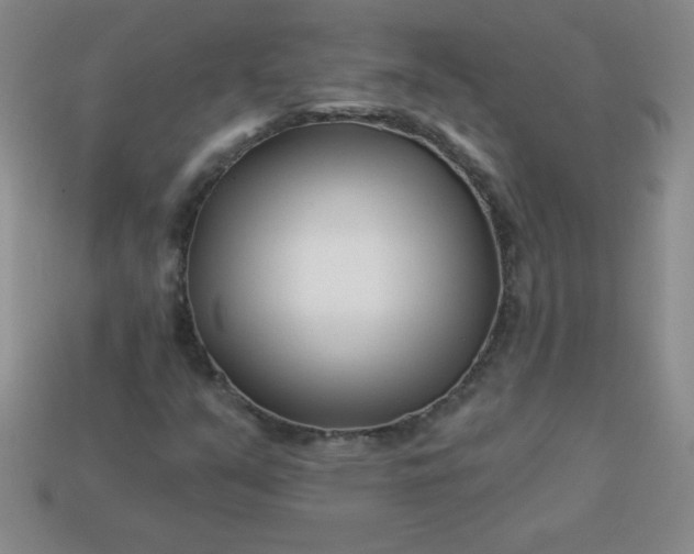 X0000113001351200909101747