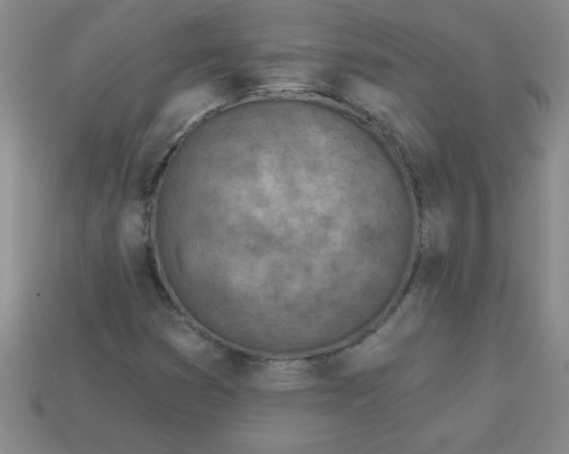 X0000113001353200909101747