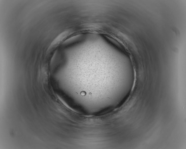 X0000113001354200909101747