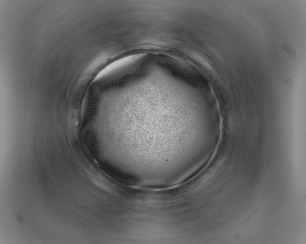 X0000113001355200909101747