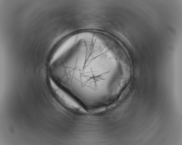 X0000113001356200909101747