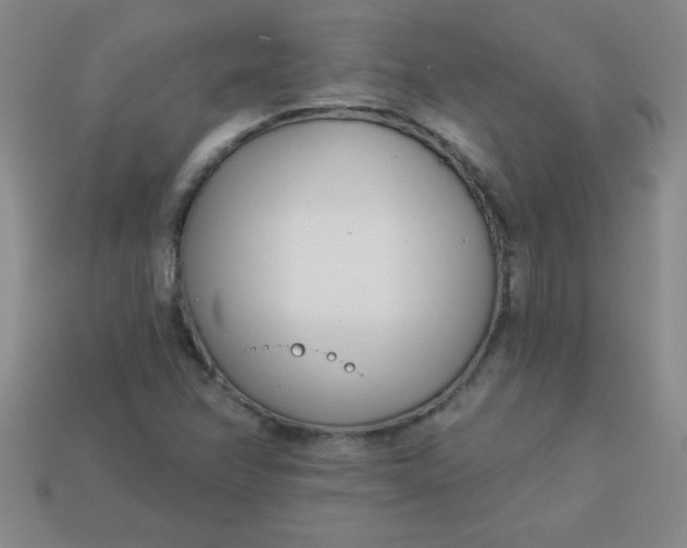 X0000113001358200909101747