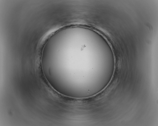 X0000113001359200909101747