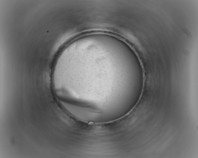 X0000113001360200909101747