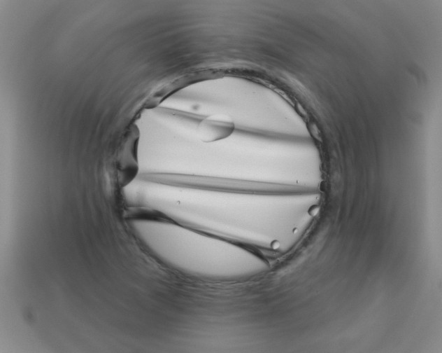 X0000113001361200909101747