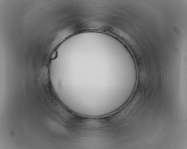 X0000113001362200909101747