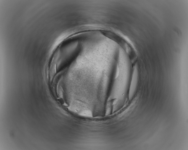 X0000113001365200909101747