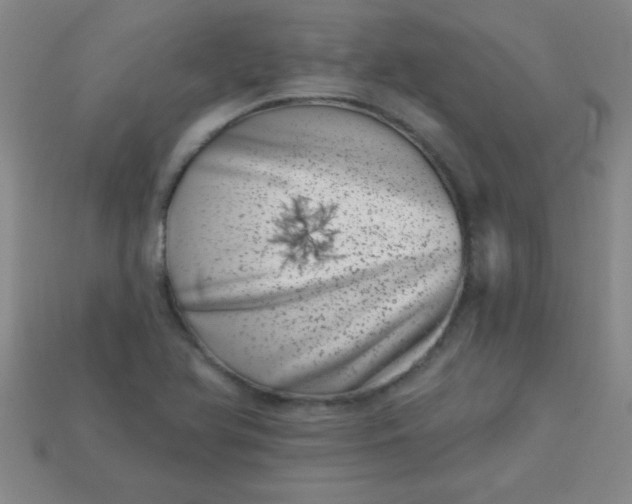 X0000113001366200909101747