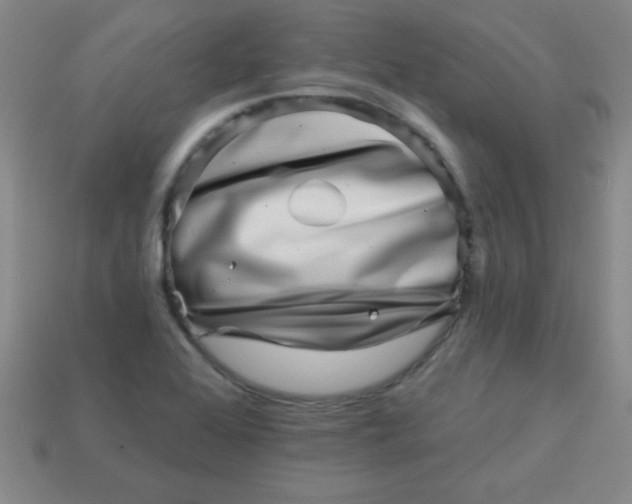 X0000113001368200909101747