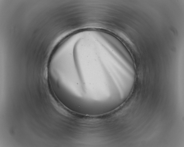 X0000113001372200909101747