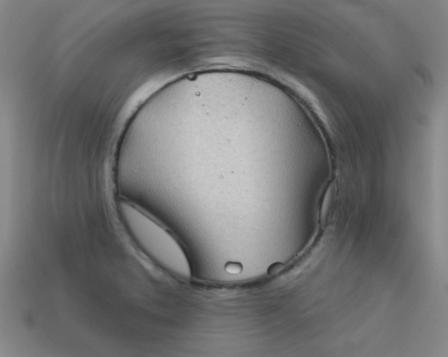 X0000113001373200909101747