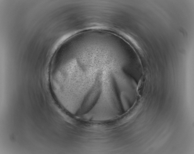 X0000113001375200909101747