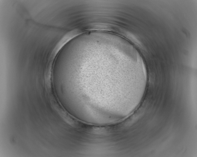 X0000113001378200909101747