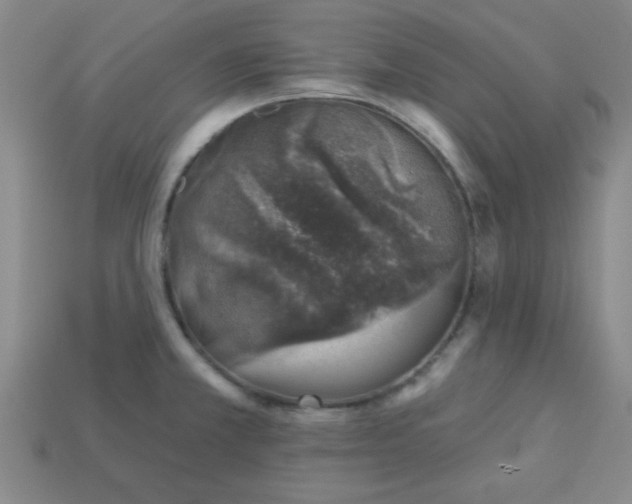 X0000113001381200909101747