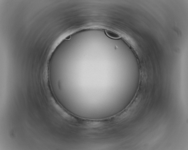 X0000113001382200909101747