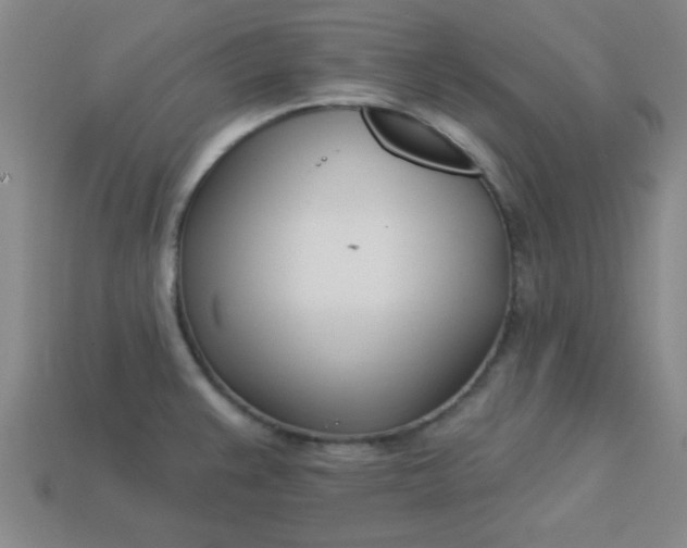 X0000113001383200909101747