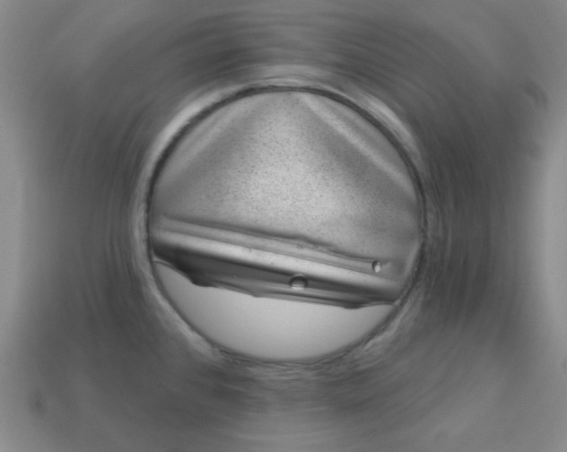 X0000113001384200909101747