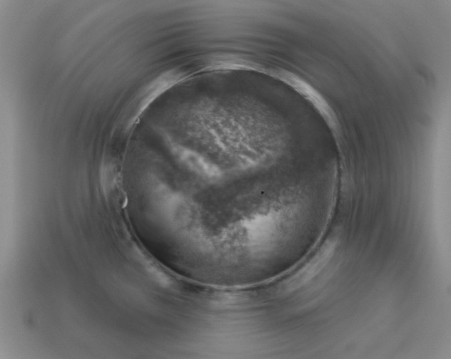 X0000113001385200909101747