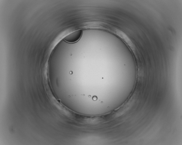 X0000113001386200909101747