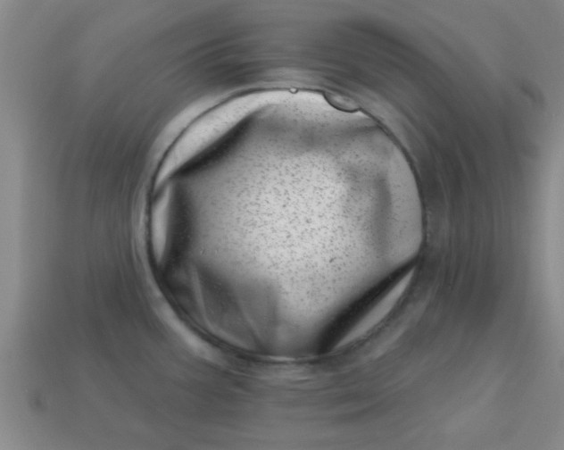 X0000113001387200909101747