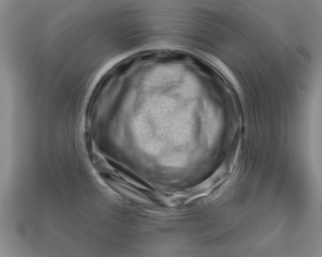 X0000113001388200909101747