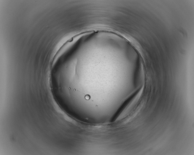 X0000113001390200909101747