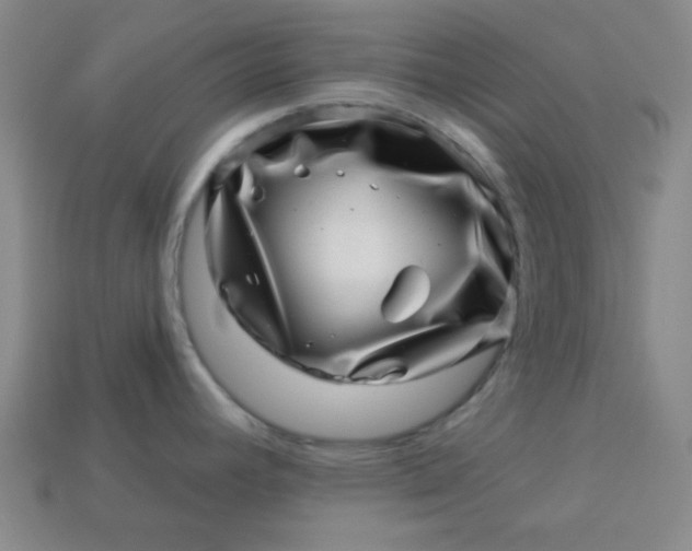 X0000113001392200909101747