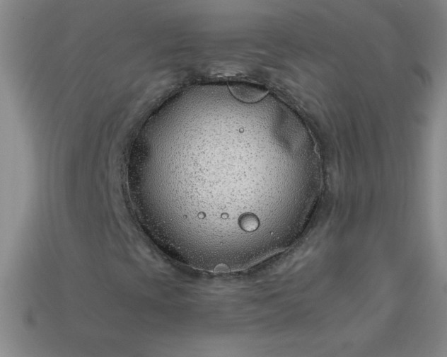 X0000113001393200909101746