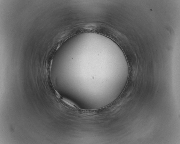 X0000113001394200909101746