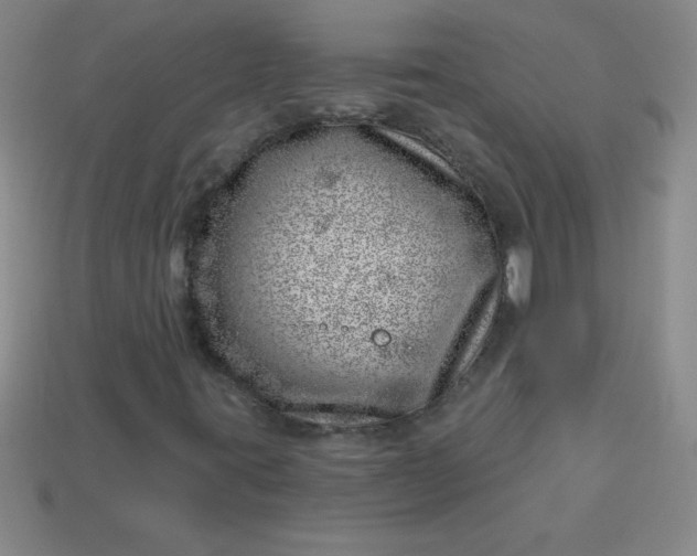 X0000113001395200909101746