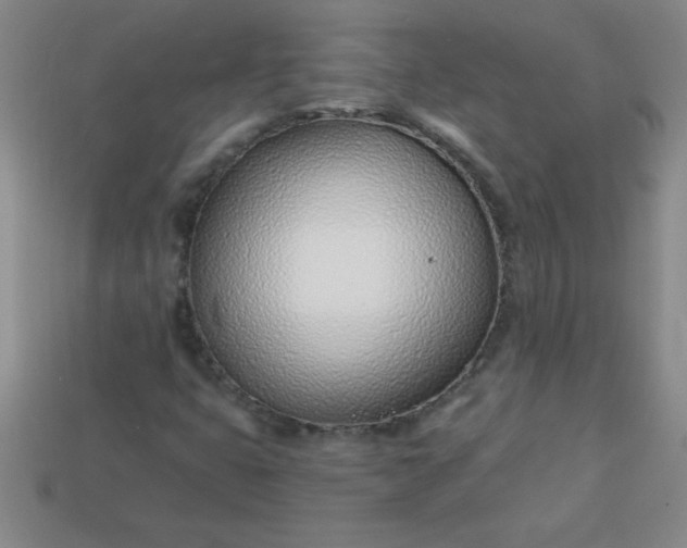 X0000113001399200909101746