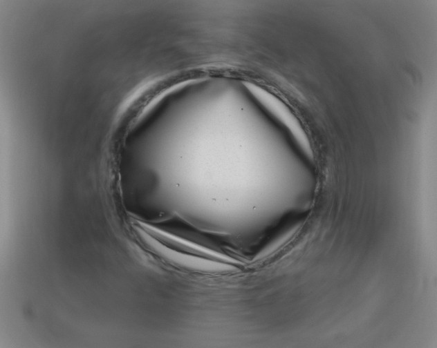 X0000113001400200909101746