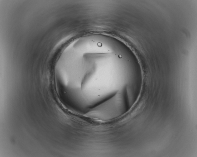 X0000113001402200909101746