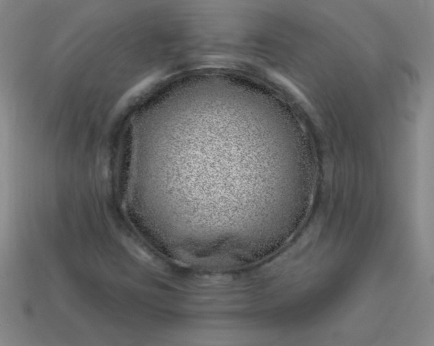 X0000113001403200909101746