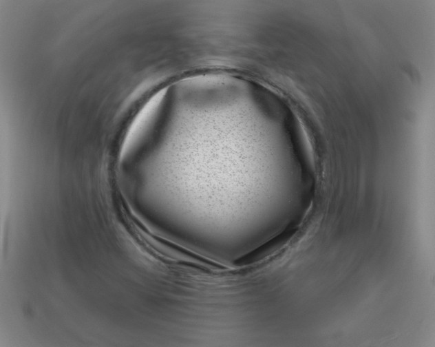 X0000113001404200909101746