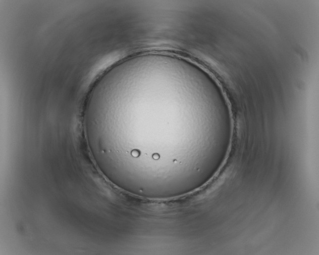 X0000113001405200909101746