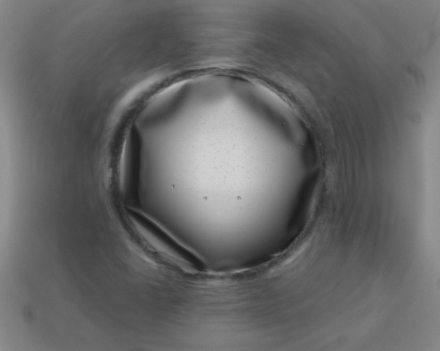 X0000113001406200909101746