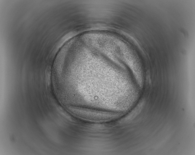 X0000113001409200909101746