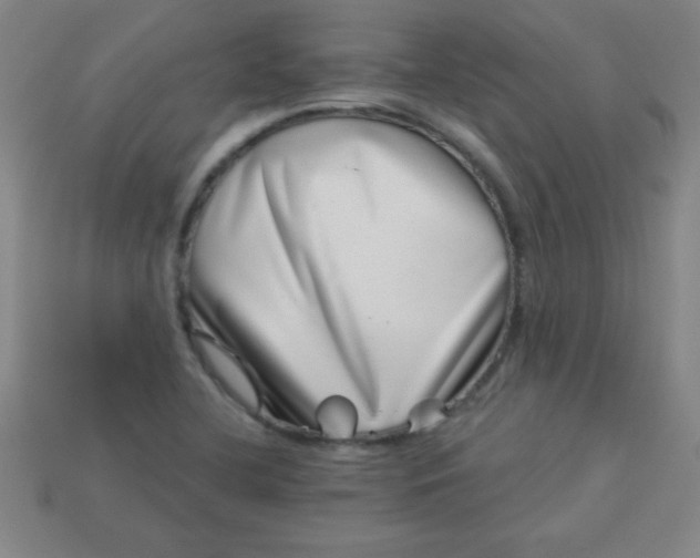 X0000113001412200909101746